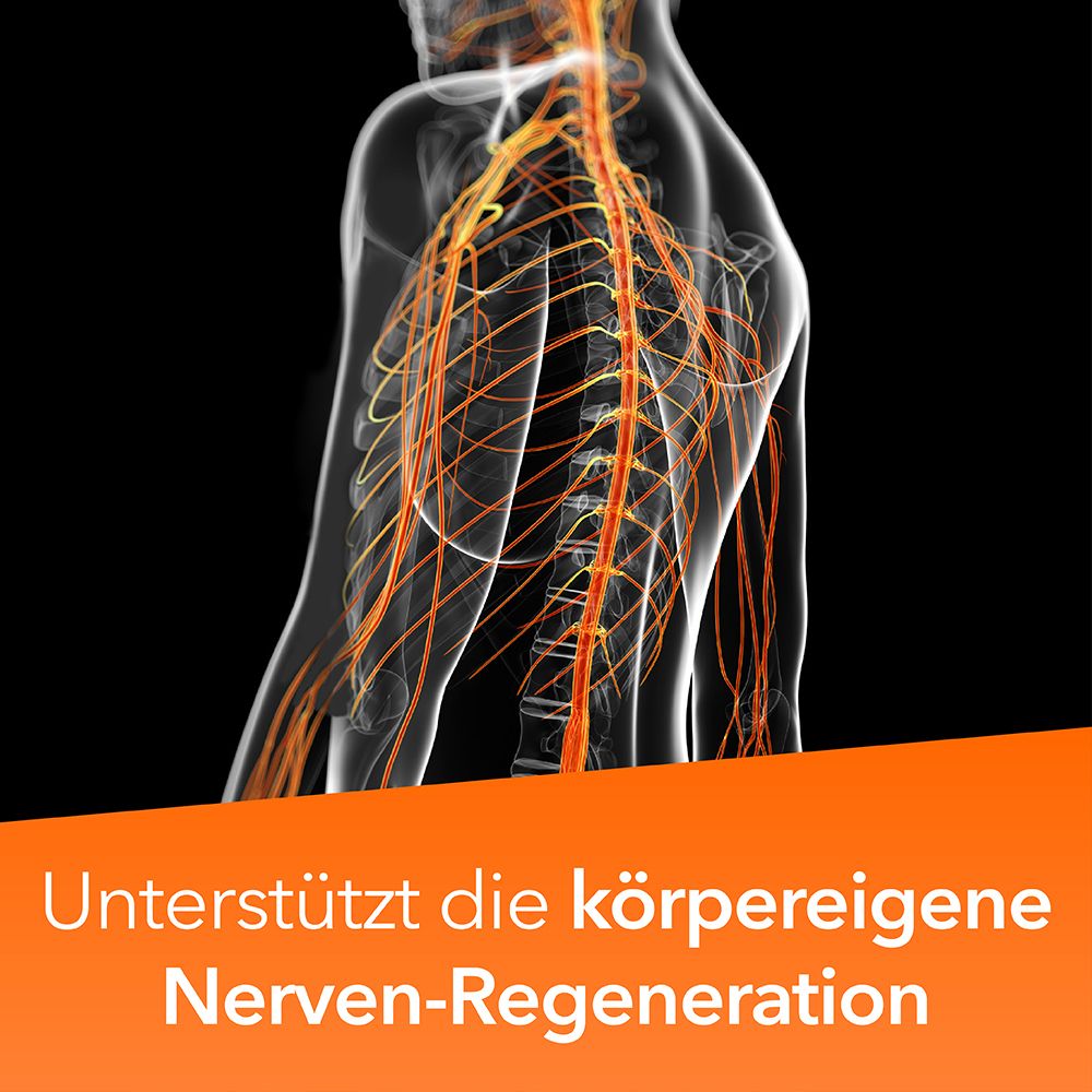 Neuropax-ratiopharm forte mit Uridinmonophosphat (UMP), Vitamin B12 und Folsäure zur Unterstützung der Nervenregeneration
