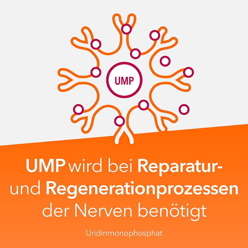 Neuropax-ratiopharm forte mit Uridinmonophosphat (UMP), Vitamin B12 und Folsäure zur Unterstützung der Nervenregeneration