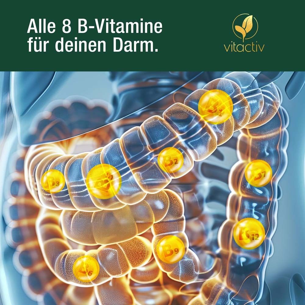 Grafik: Alle 8 B-Vitamine für deinen Darm. Gelbe Kugeln in einem Darmmodell.