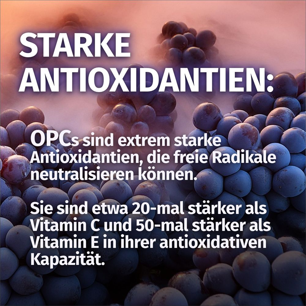 Starke Antioxidantien: OPCs neutralisieren freie Radikale, stärker als Vitamin C/E.