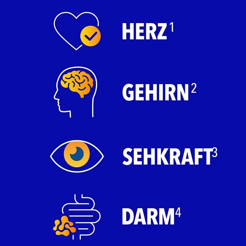 Grafische Darstellung von Herz, Gehirn, Auge und Darm. Text: Herz, Gehirn, Sehkraft, Darm.