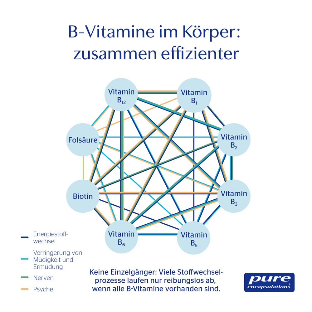 Grafik zeigt Wechselwirkungen von B-Vitaminen für Stoffwechsel, Energie, Nerven und Psyche.