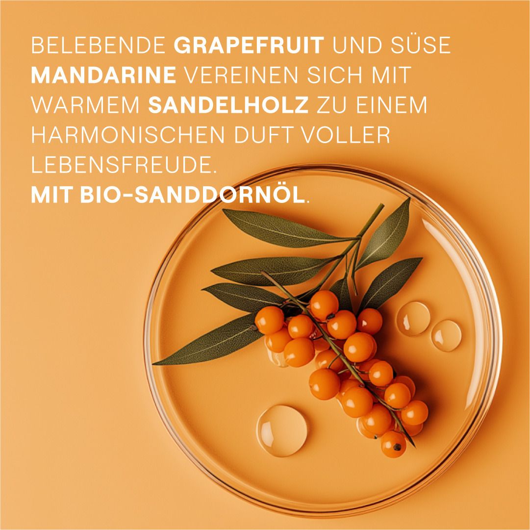 Nahaufnahme von Sanddornbeeren und Blättern in einer Glasschale. Text: Grapefruit, Mandarine, Sandelholz, Bio-Sanddornöl.
