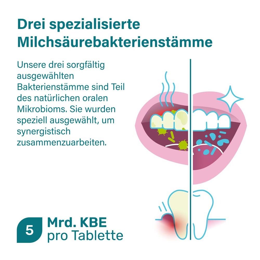 Grafik: Zähne und Mund. Text: Drei spezialisierte Milchsäurebakterienstämme. 5 Mrd. KBE pro Tablette.