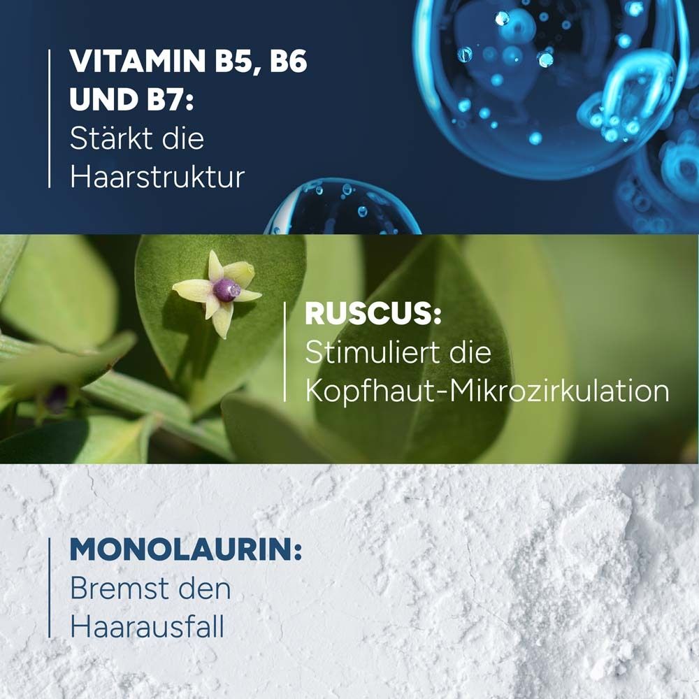 Text: Vitamin B5, B6 und B7: Stärkt die Haarstruktur. Ruscis: Stimuliert die Kopfhaut-Mikrozirkulation. Monolaurin: Bremst den Haarausfall.