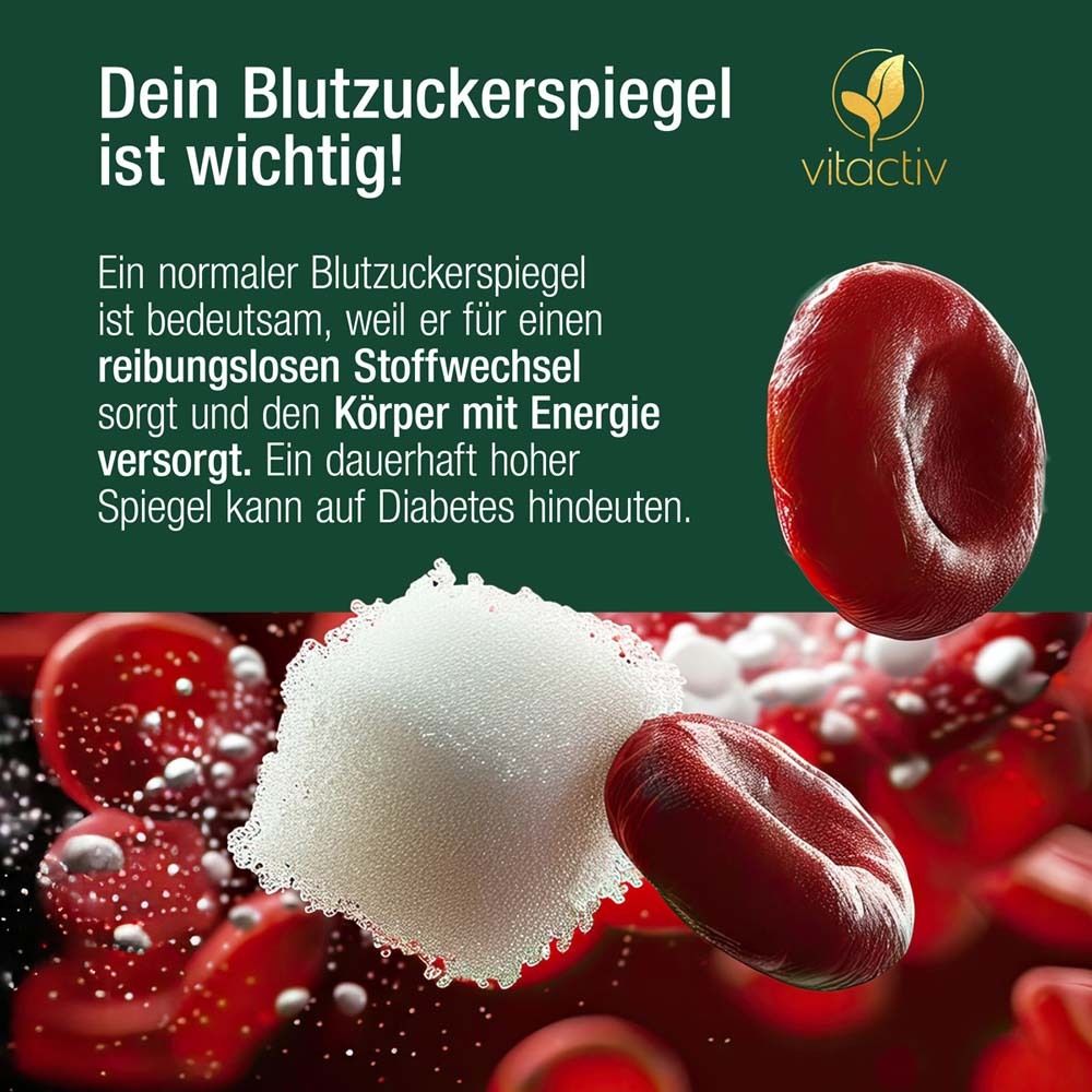 Grafik mit roten Blutkörperchen und Zucker. Text: Dein Blutzuckerspiegel ist wichtig! vitactiv Logo.