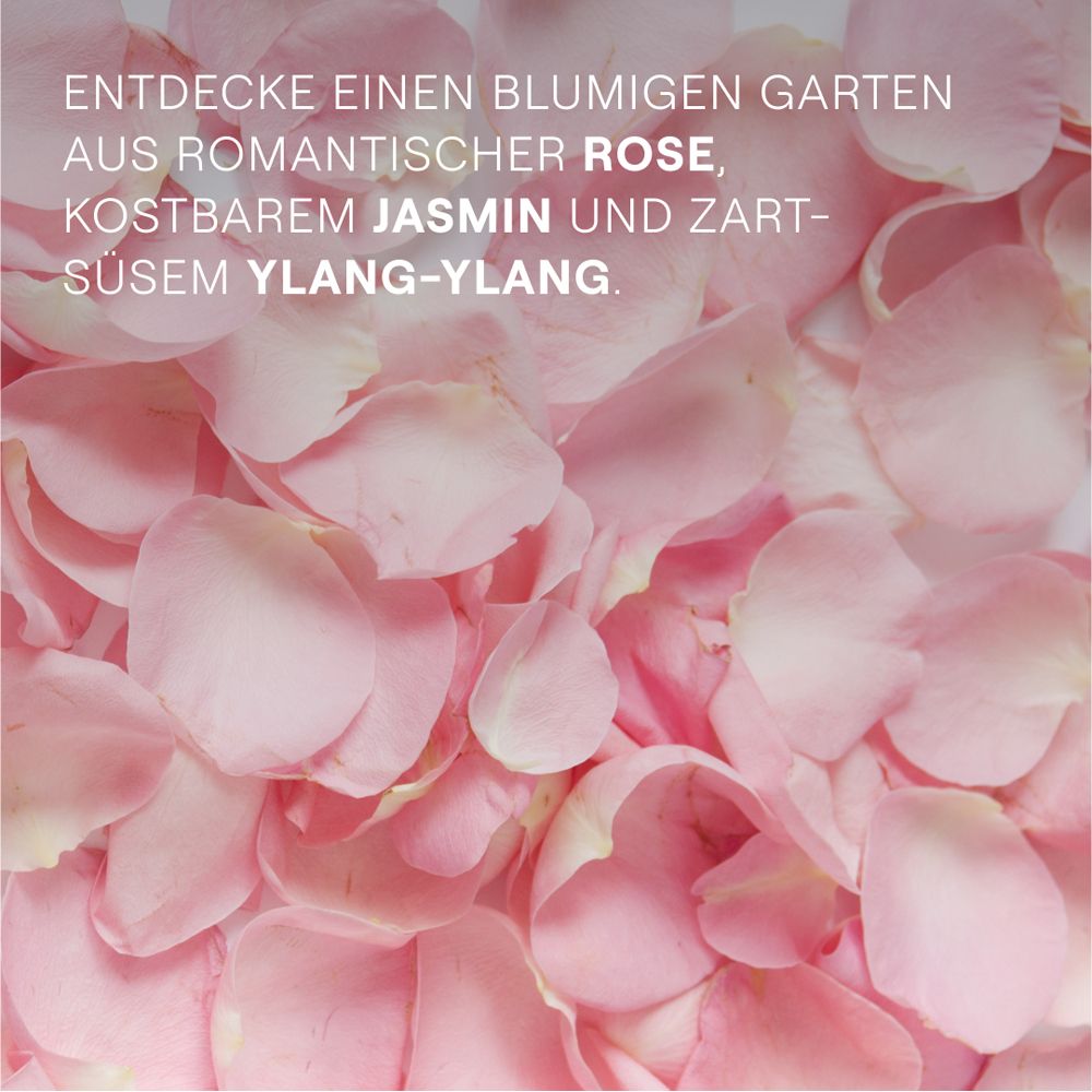 Rosa Rosenblätter. Text: "ENTDECKE EINEN BLUMIGEN GARTEN..." mit Rose, Jasmin und Ylang-Ylang.