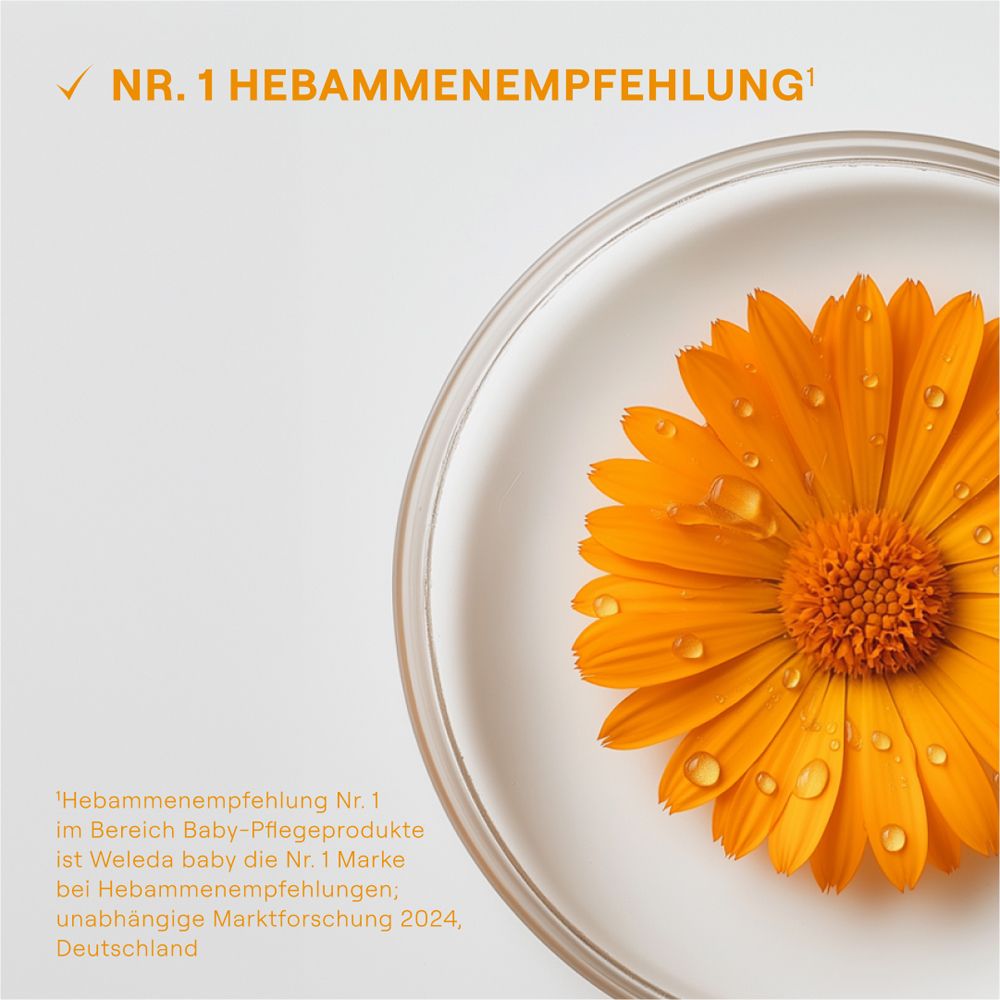 Nahaufnahme einer Blüte in einer Schale. Text: Nr. 1 Hebammenempfehlung.