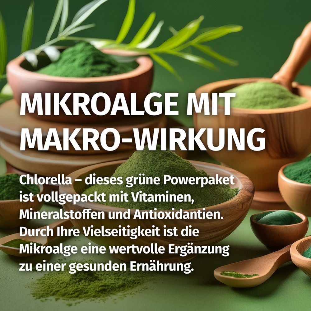Grünes Pulver aus Mikroalgen in Holzschalen. Chlorella: Reich an Vitaminen, Mineralstoffen, Antioxidantien.