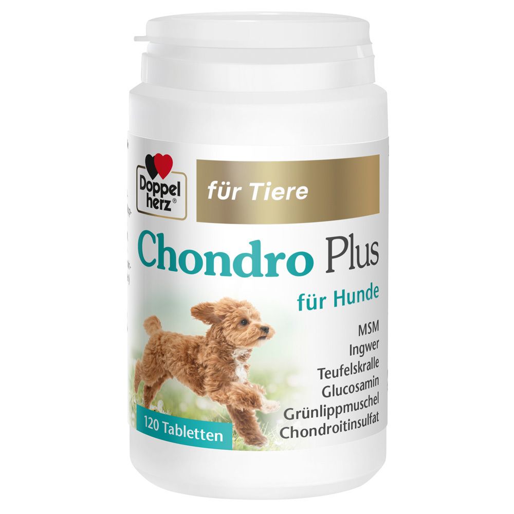 Weiße Dose mit "Doppelherz Chondro Plus für Hunde". Enthält 120 Tabletten. Abbildung eines Hundes.