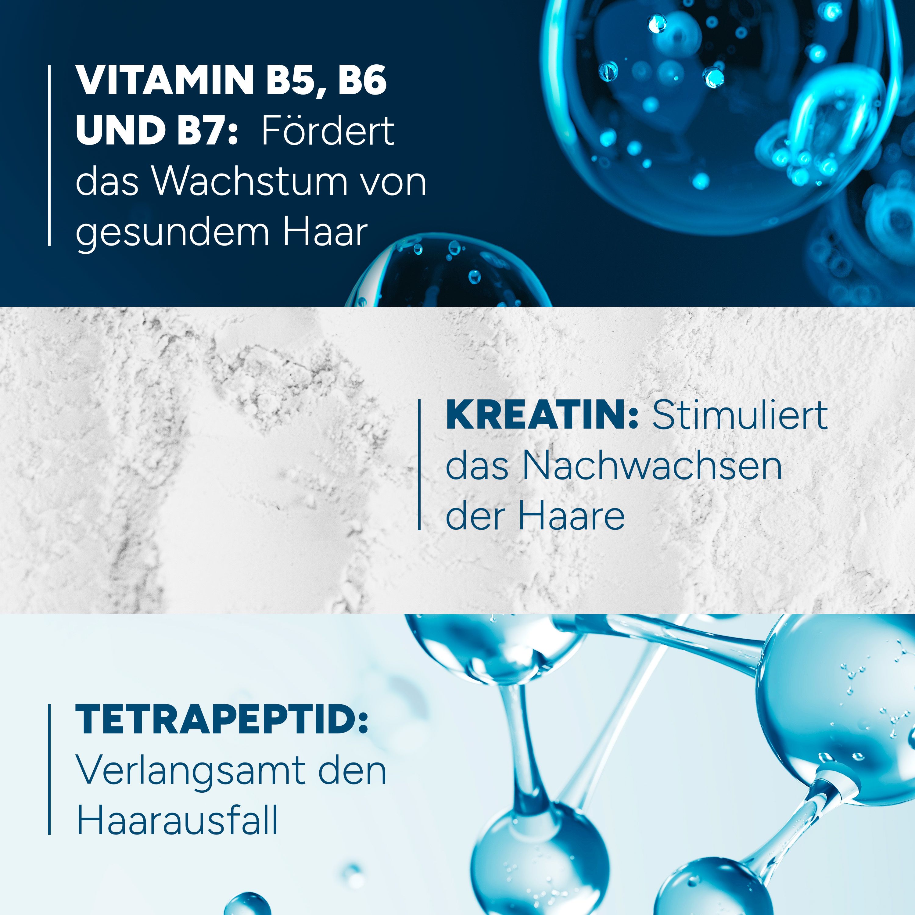 Text: Vitamin B5, B6 und B7. Kreatin. Tetrapeptid. Grafische Darstellung von Molekülen.