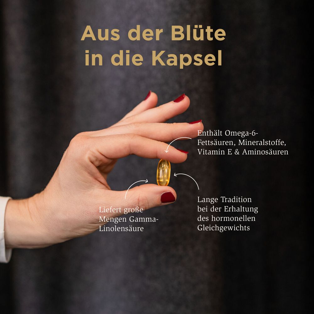 Hand hält eine Kapsel. Text: Enthält Omega-6 Fettsäuren, Mineralstoffe, Vitamin E & Aminosäuren. Liefert Gamma-Linolensäure.