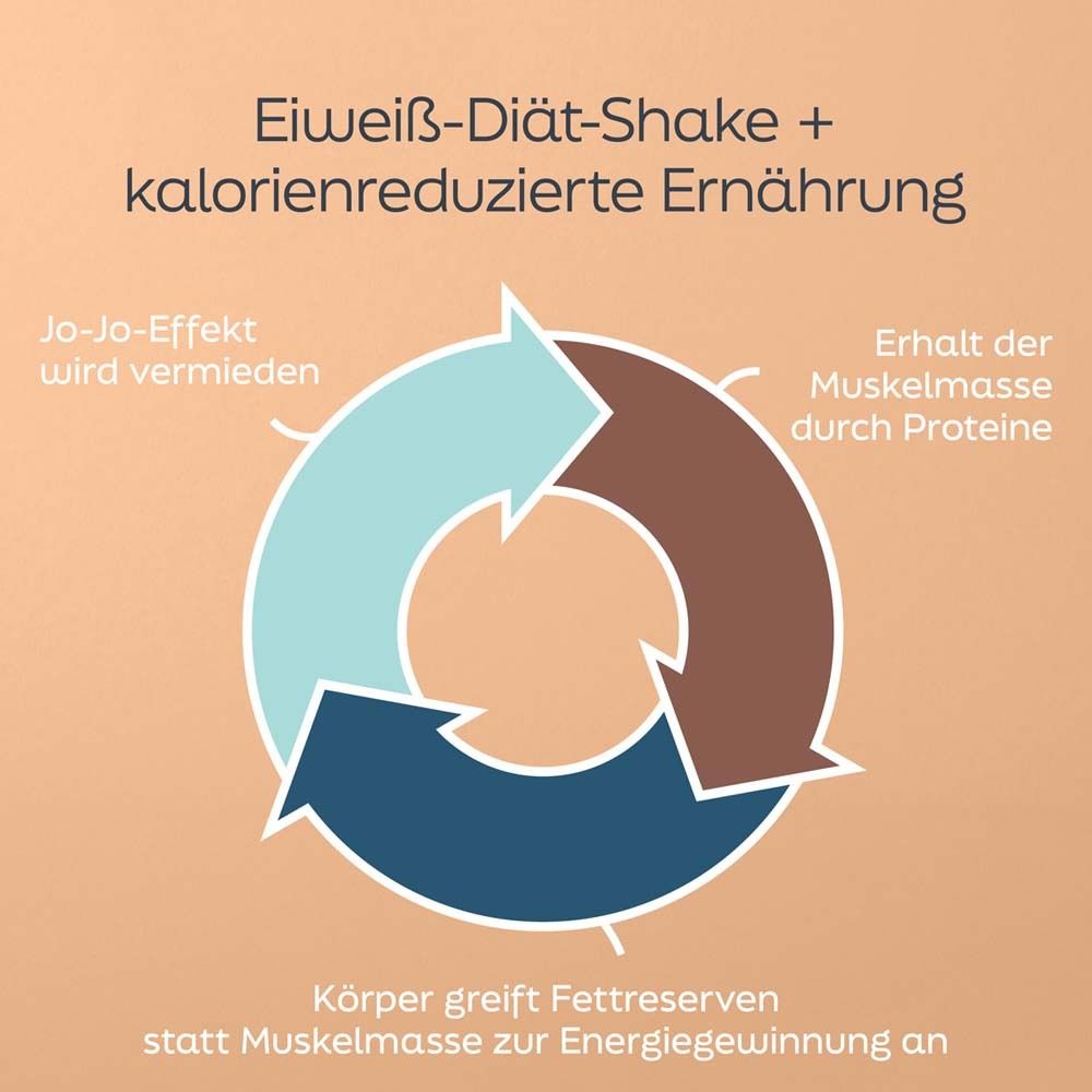 Kreislaufdiagramm mit Text: Eiweiß-Diät-Shake + kalorienreduzierte Ernährung. Vermeidung Jo-Jo-Effekt.