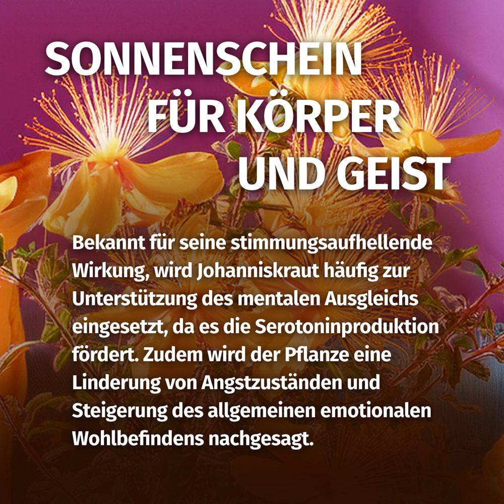 Text auf pinkem Hintergrund: Sonnenschein für Körper und Geist. Text über Johanniskraut.