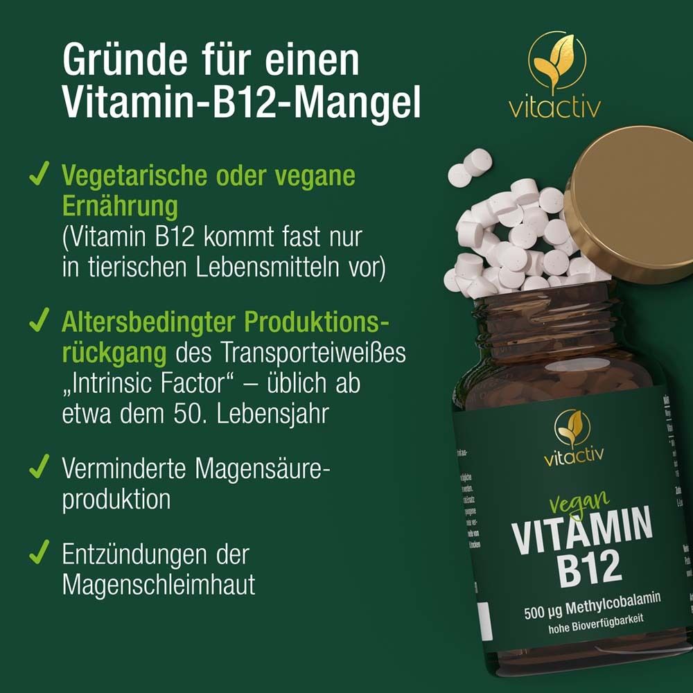 Grüne Infografik mit Text und Tabletten. Text: Gründe für Vitamin-B12-Mangel.