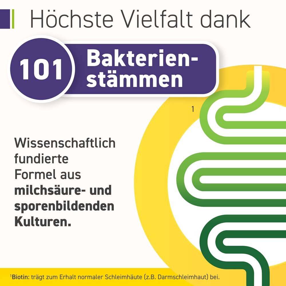 Grafik mit Text: 101 Bakterienstämme. Wissenschaftlich fundierte Formel aus Milch- und sporen bildenden Kulturen.