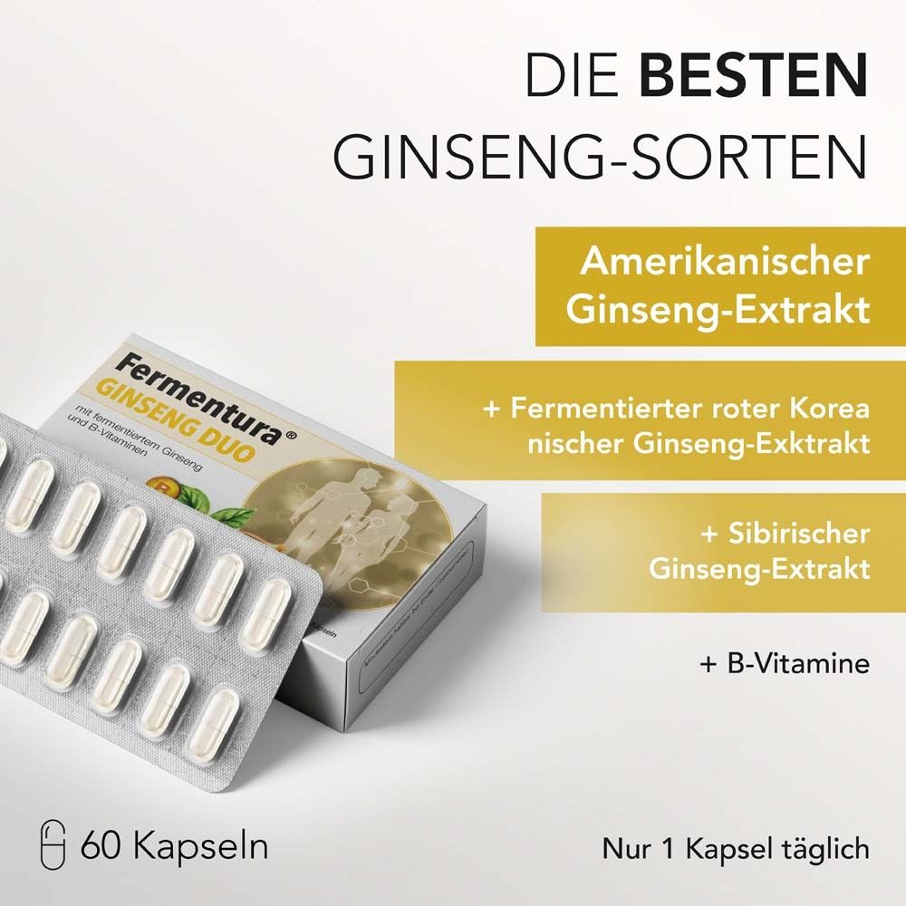 Blisterpackung mit Kapseln neben einer Schachtel mit Fermentura® Ginseng Duo. Text über Ginseng-Sorten und B-Vitamine.