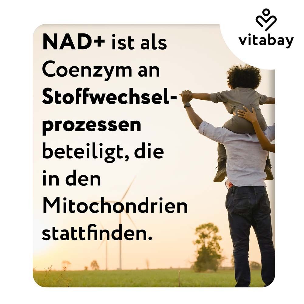 Braune Flasche mit Etikett. Text: Vitabay, NAD+ 1.000 mg, Trans-Resveratrol 600 mg, 90 Softgels.