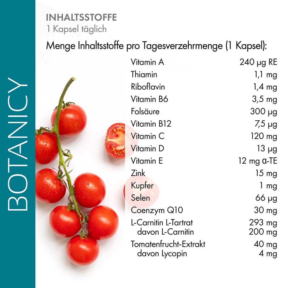 Inhaltsstofftabelle für "FERTIL SPERM Aktiv". Auflistung von Vitaminen und Mineralstoffen pro Tagesdosis (1 Kapsel).