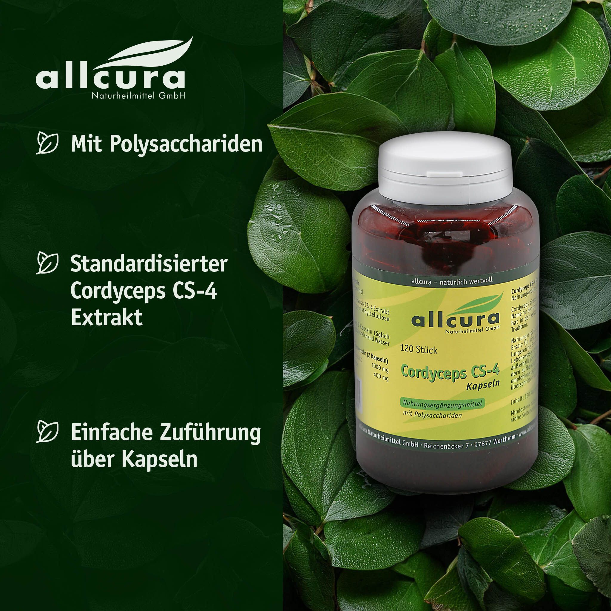 Braune Flasche mit weißen Deckel, umgeben von Blättern. Aufschrift: allcura Cordyceps CS-4 Kapseln.