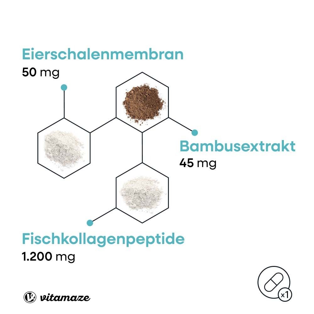 Grafik mit Inhaltsstoffen: Eierschalenmembran, Bambusextrakt, Fischkollagenpeptide. Vitamaze Logo.