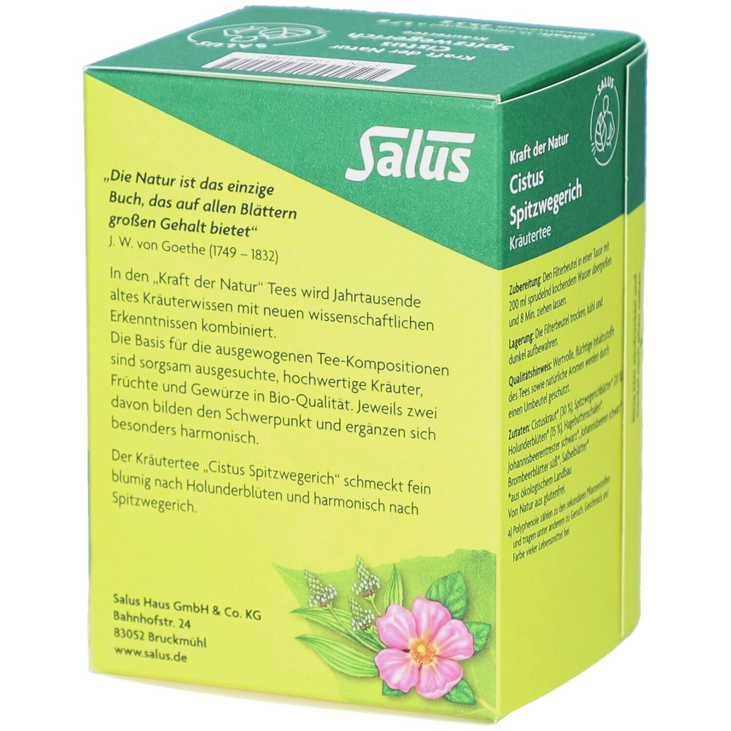 Grüne Schachtel mit Text. "Salus", "Cistus Spitzwegerich". Text über Tee-Zusammensetzung und Hersteller.