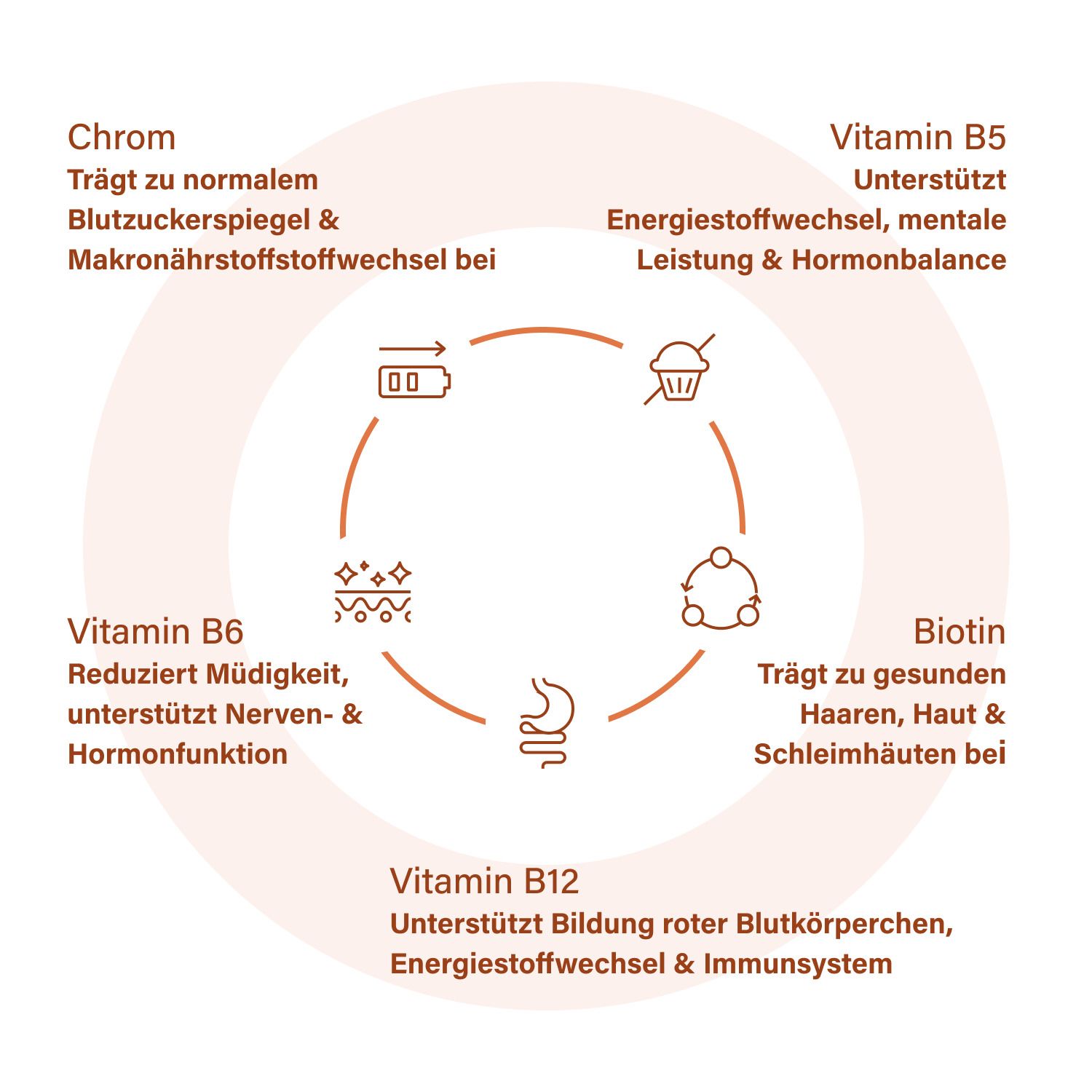 Kreisförmige Darstellung von Vitaminen und Mineralien. Enthält Vitamin B5, B6, B12, Biotin und Chrom. Textliche Erklärungen.