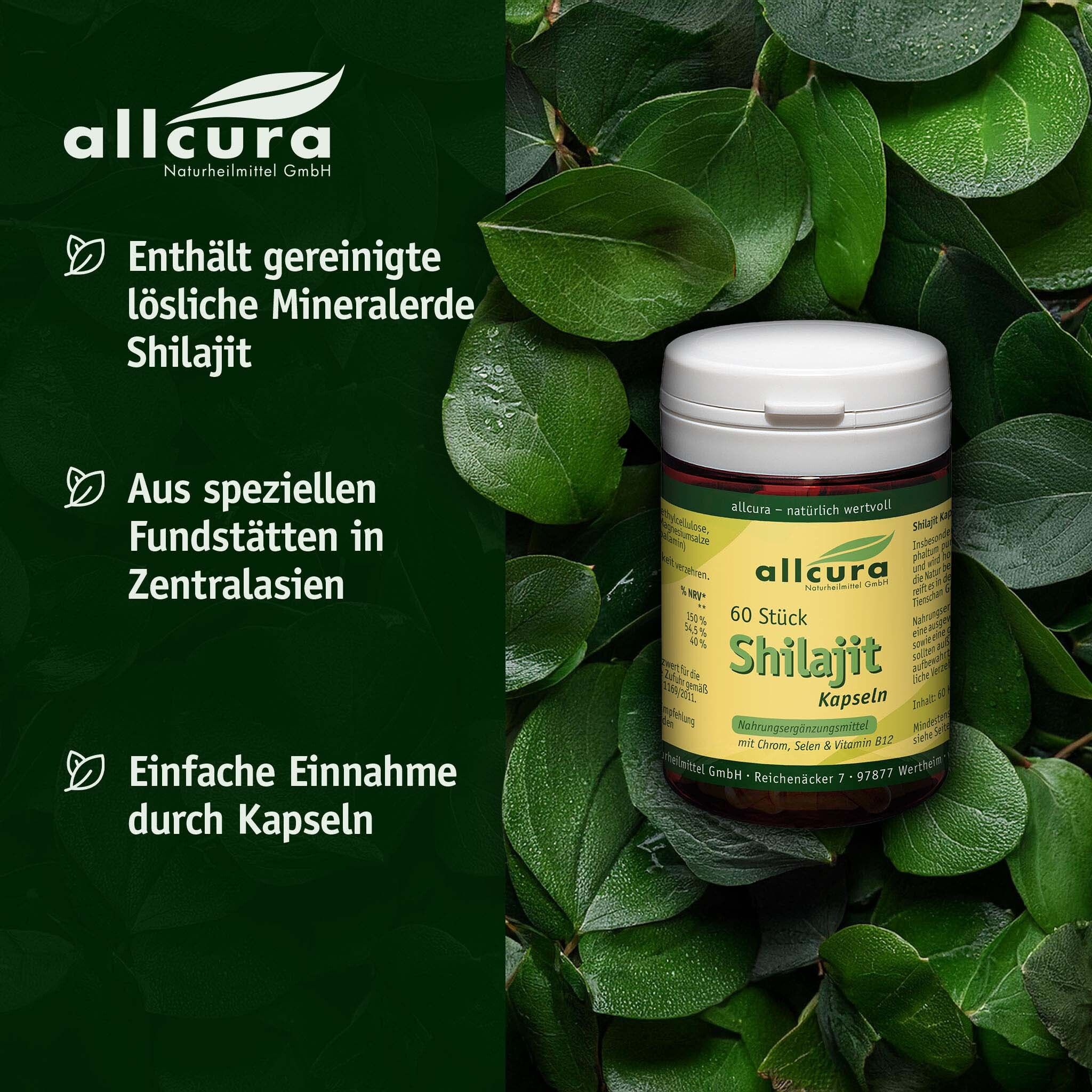 Weißes Pillendose mit gelbem Etikett, umgeben von grünen Blättern. Text: allcura Shilajit Kapseln.