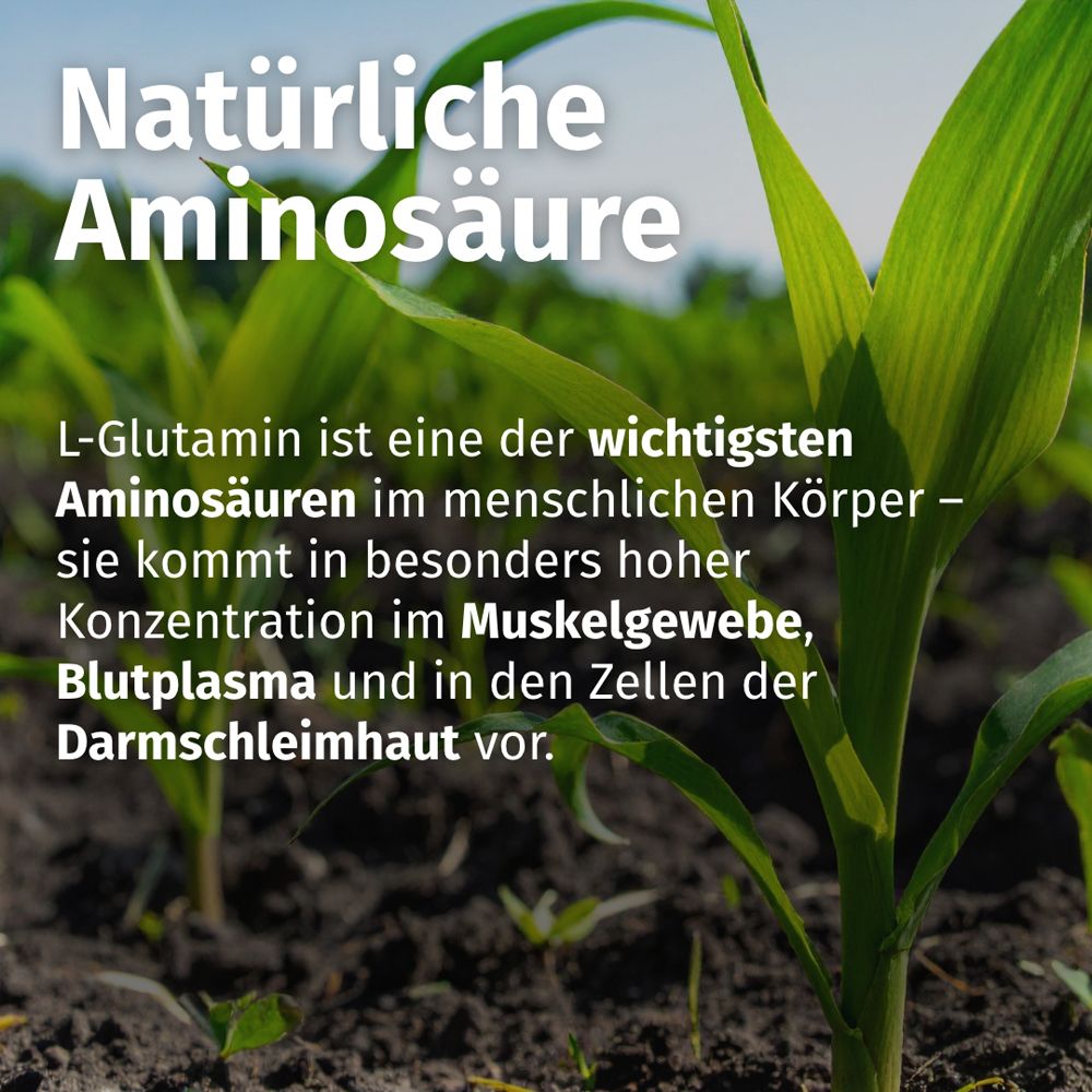 Grüne Pflanzen. Text: Natürliche Aminosäure. L-Glutamin ist eine der wichtigsten Aminosäuren im menschlichen Körper.
