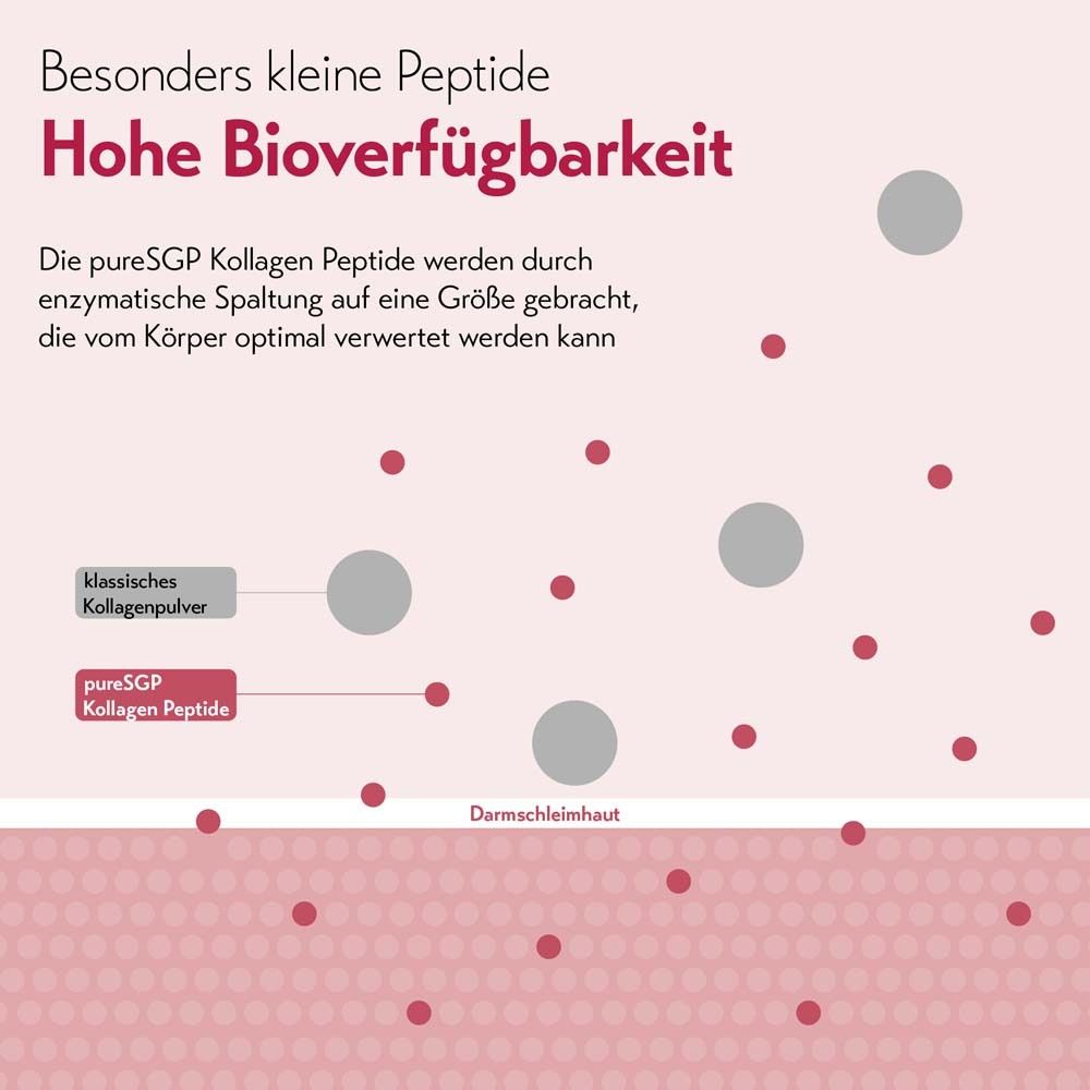 Grafik mit roten Punkten. Text: Hohe Bioverfügbarkeit. pureSGP Kollagen Peptide. Klassisches Kollagenpulver.