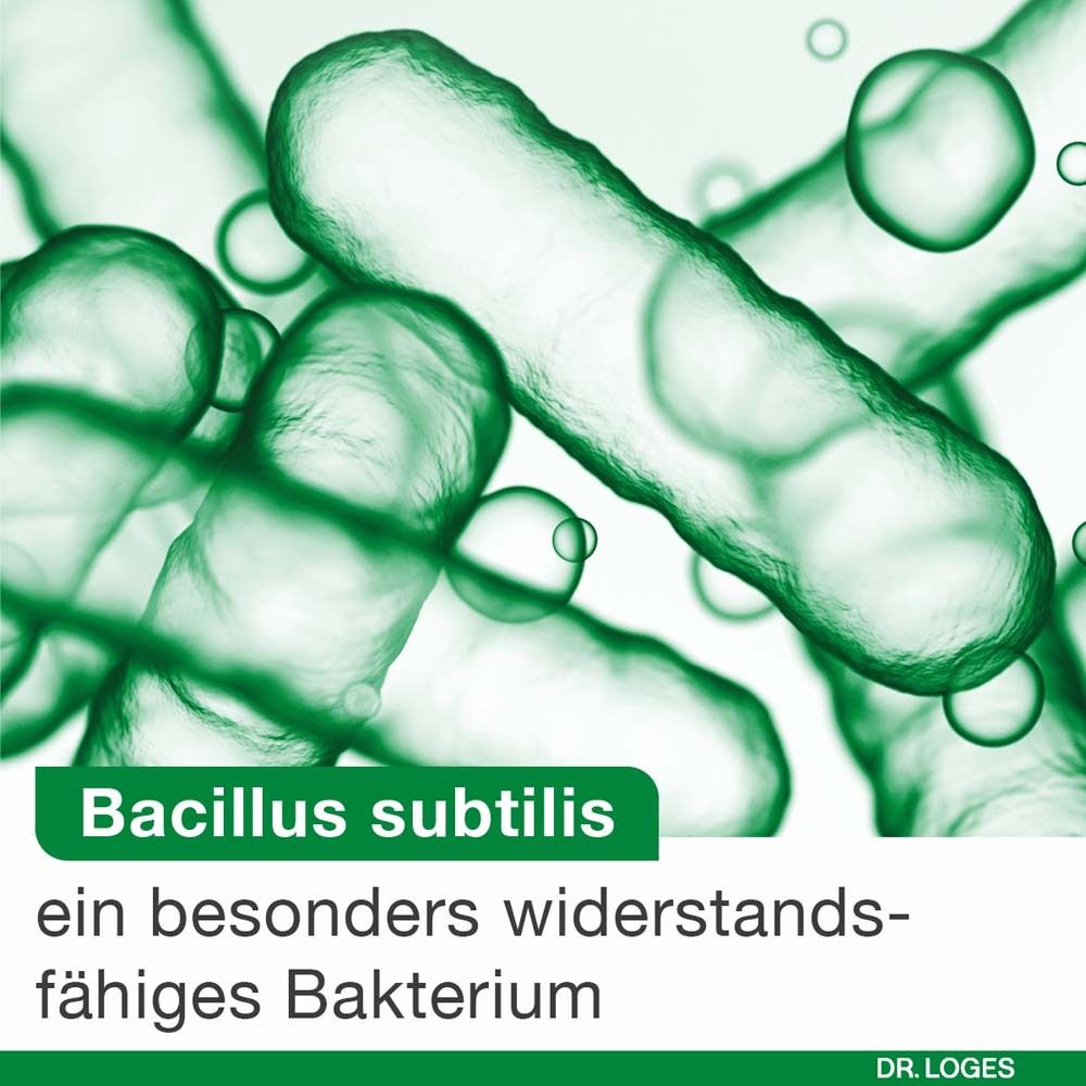 Abbildung von Bacillus subtilis. Text: ein besonders widerstandsfähiges Bakterium.