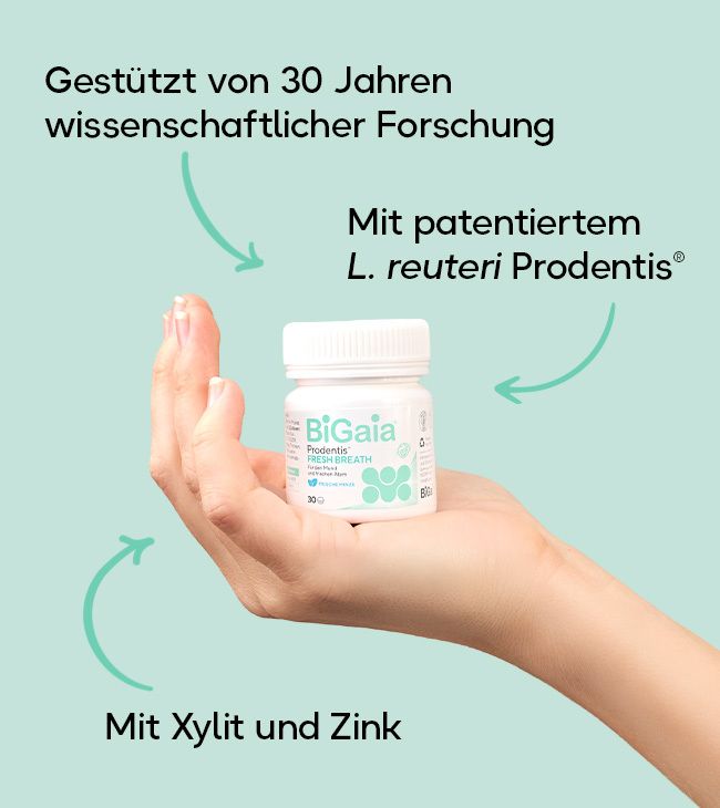 Weiße Pillendose mit grünem Etikett, gehalten in einer Hand. Enthält L. reuteri Prodentis, Xylit und Zink.