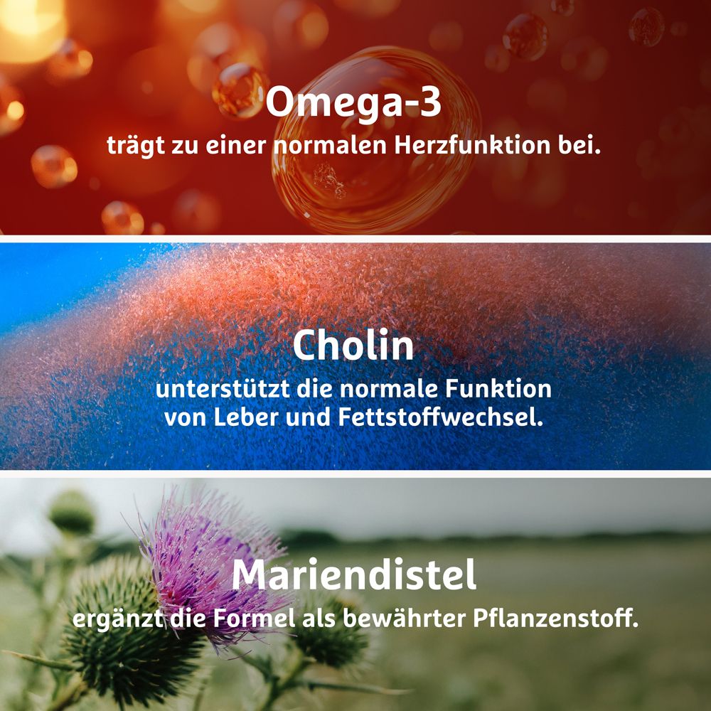 Drei Banner mit Texten: Omega-3, Cholin, Mariendistel. Beschreibungen der Inhaltsstoffe.