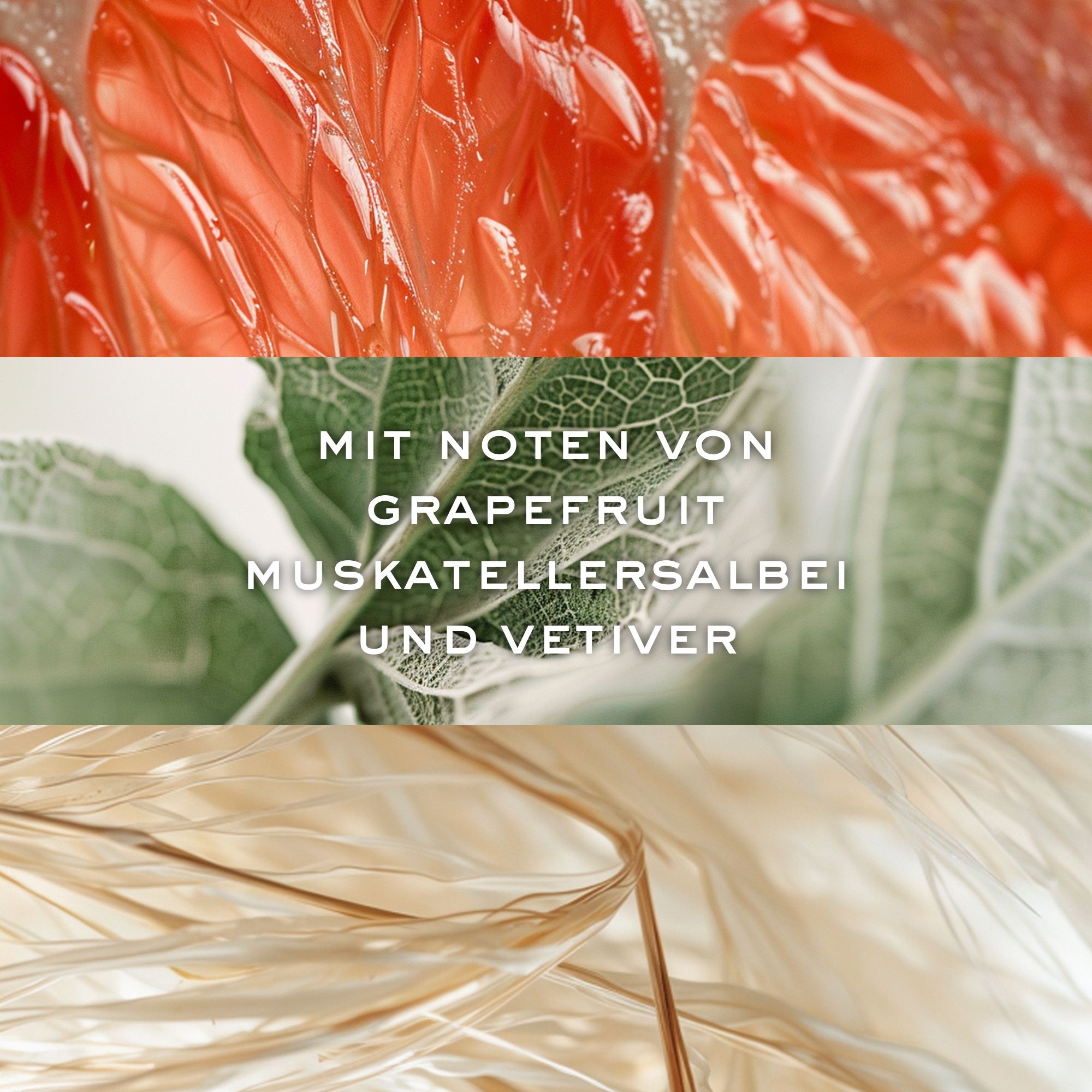 Nahaufnahme von Grapefruit, Blättern und getrocknetem Gras. Text: MIT NOTEN VON GRAPEFRUIT MUSKATELLERSALBEI UND VETIVER.