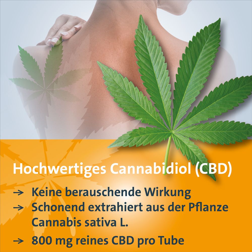 Cannabidiol (CBD) aus Cannabis sativa L. 800 mg reines CBD pro Tube. Hintergrund: Frau mit Hand auf Schulter.