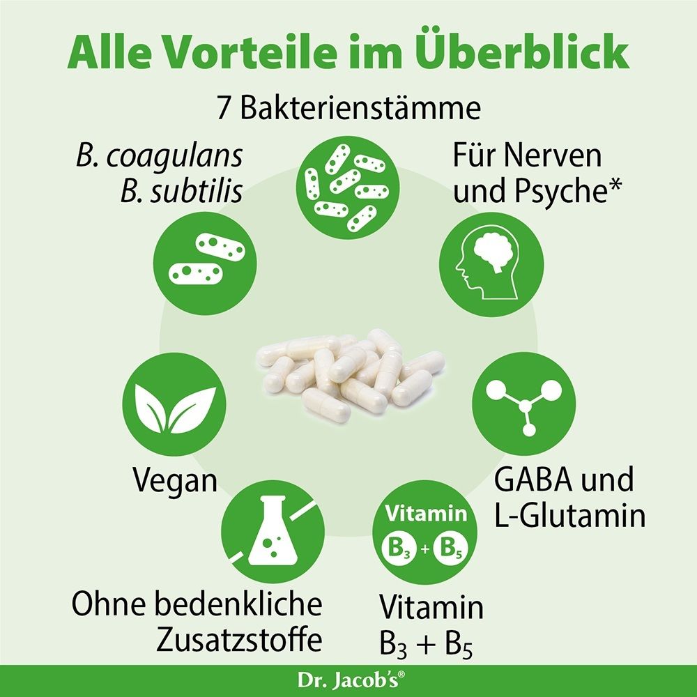 Grafische Darstellung der Vorteile von Zen Biotics: 7 Bakterienstämme, für Nerven und Psyche, vegan, ohne bedenkliche Zusatzstoffe, GABA und L-Glutamin, Vitamine B3 und B5.