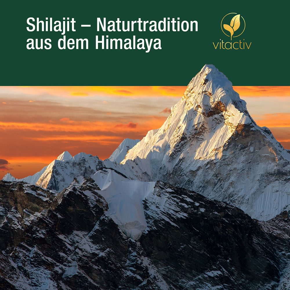 Vitactiv Shilajit: Berglandschaft des Himalaya bei Sonnenuntergang. Text: 'Shilajit – Naturtradition aus dem Himalaya'.