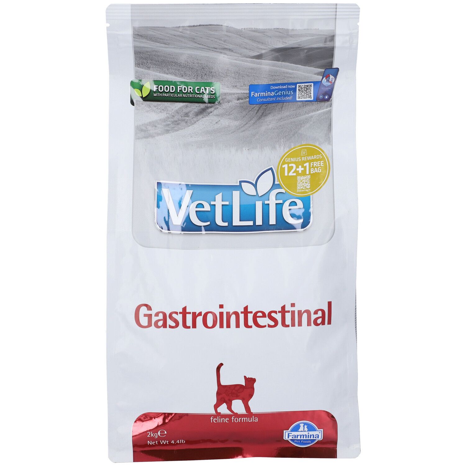 Weißer Beutel mit "VetLife Gastrointestinal" und Katzenabbildung. Enthält Trockenfutter für Katzen. 2kg.
