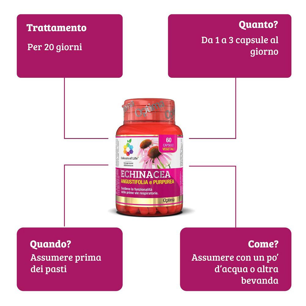 Echinacea Kapseln: Behandlung 20 Tage, 1-3 Kapseln/Tag, vor dem Essen, mit Wasser einnehmen.