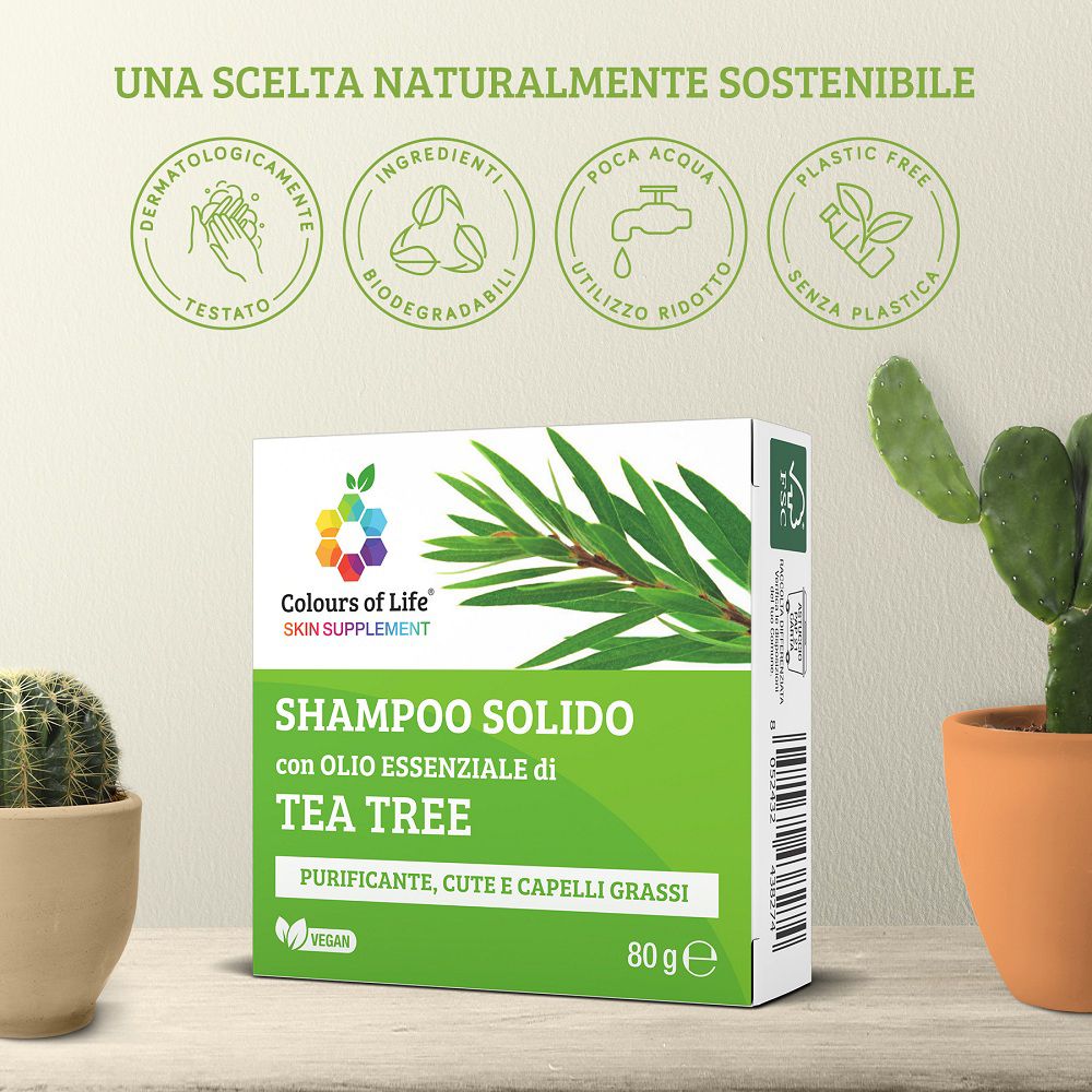 Feste Shampoo-Verpackung neben einem Kaktus, mit Nachhaltigkeitssymbolen und Teebaumzweig.
