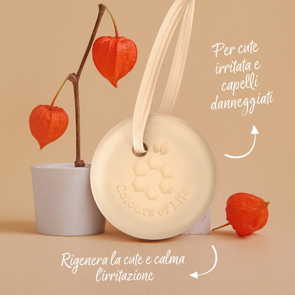 Festes Shampoo mit Vitamin B5 und Kordel, dekoriert mit Physalis-Pflanzen.