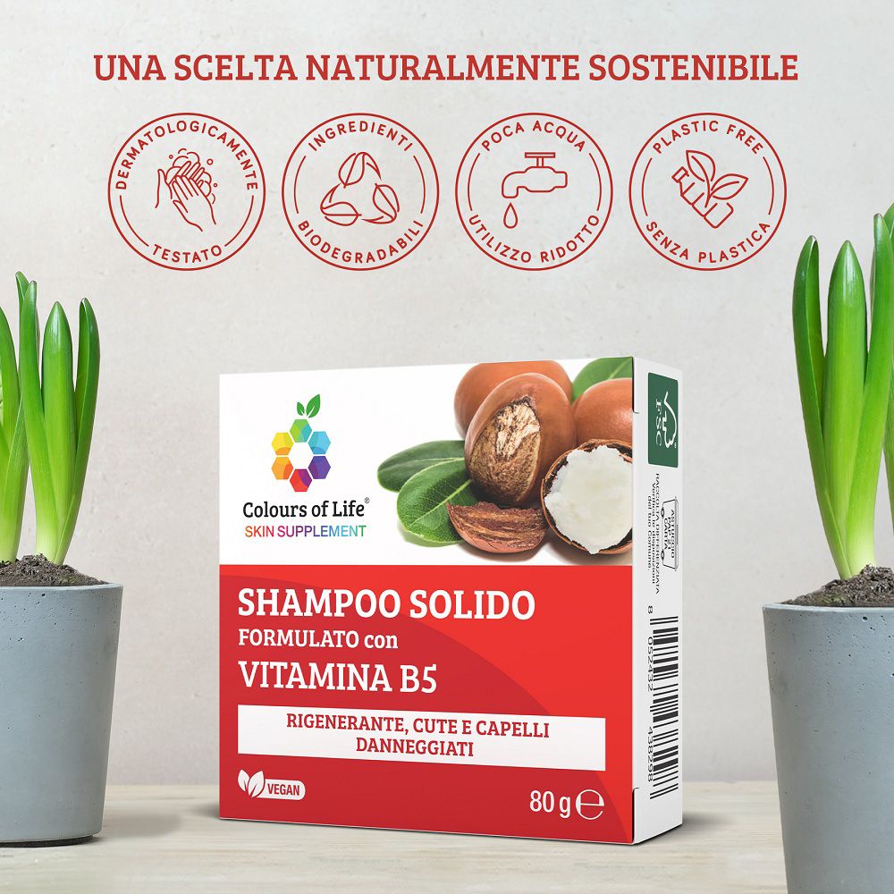 Festes Shampoo mit Vitamin B5 und Verpackung, umgeben von Pflanzen und Nachhaltigkeitssymbolen.