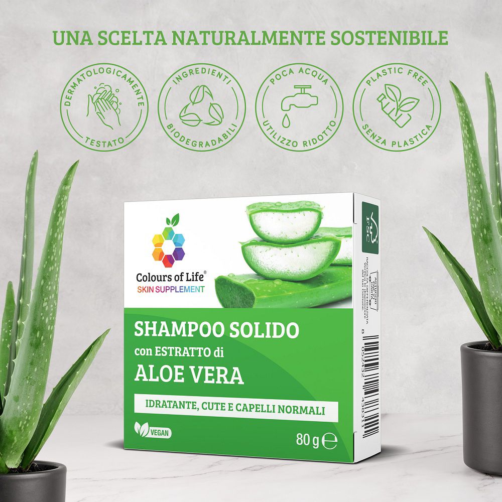 Feste Shampooflasche mit Aloe Vera und eine Schachtel, umgeben von Pflanzen.