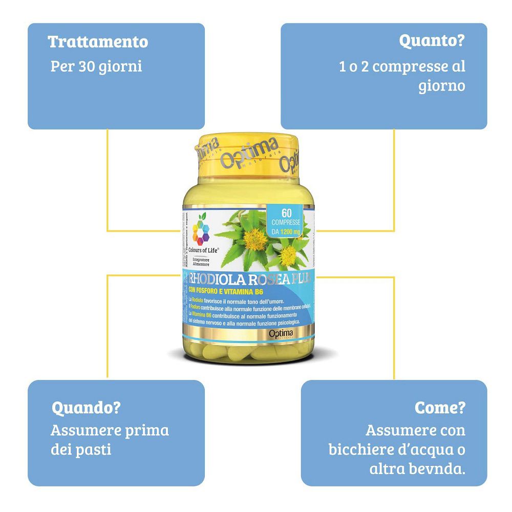 Schema zur Anwendung von Rhodiola Rosea Plus: Dosierung, Dauer, Zeitpunkt und Einnahme.