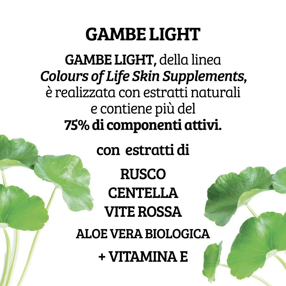 Detailansicht der Colours of Life Creme Gambe light Inhaltsstoffe: Ruscus, Centella, Vitis Vinifera, Bio Aloe Vera, Vitamin E.