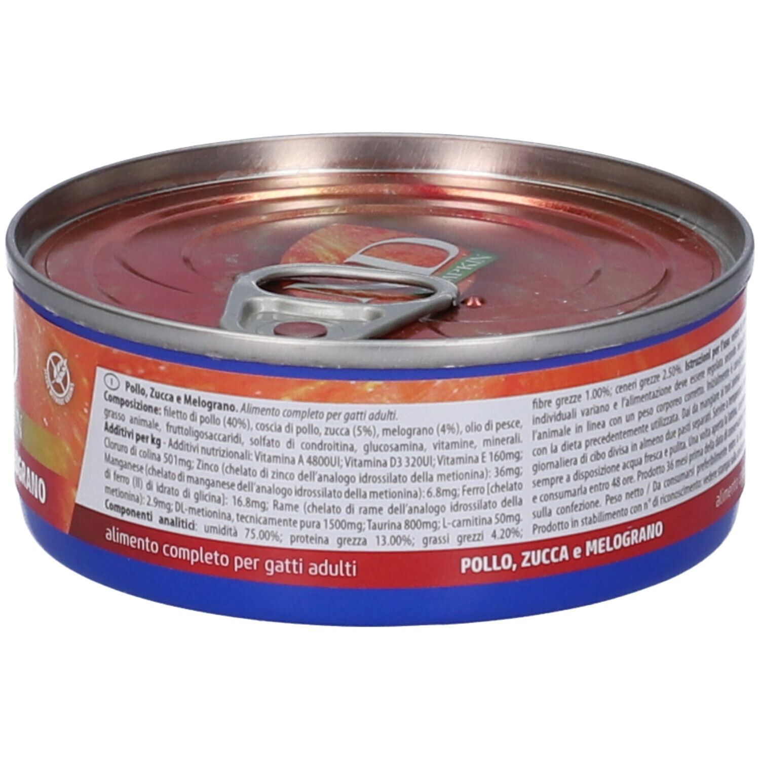 Runde Tiernahrungskonserve mit Aufdruck. Orangefarbener Hintergrund, blaue und rote Elemente. Schriftzug: N&D Pumpkin, Pollo, Zucca e Melograno.