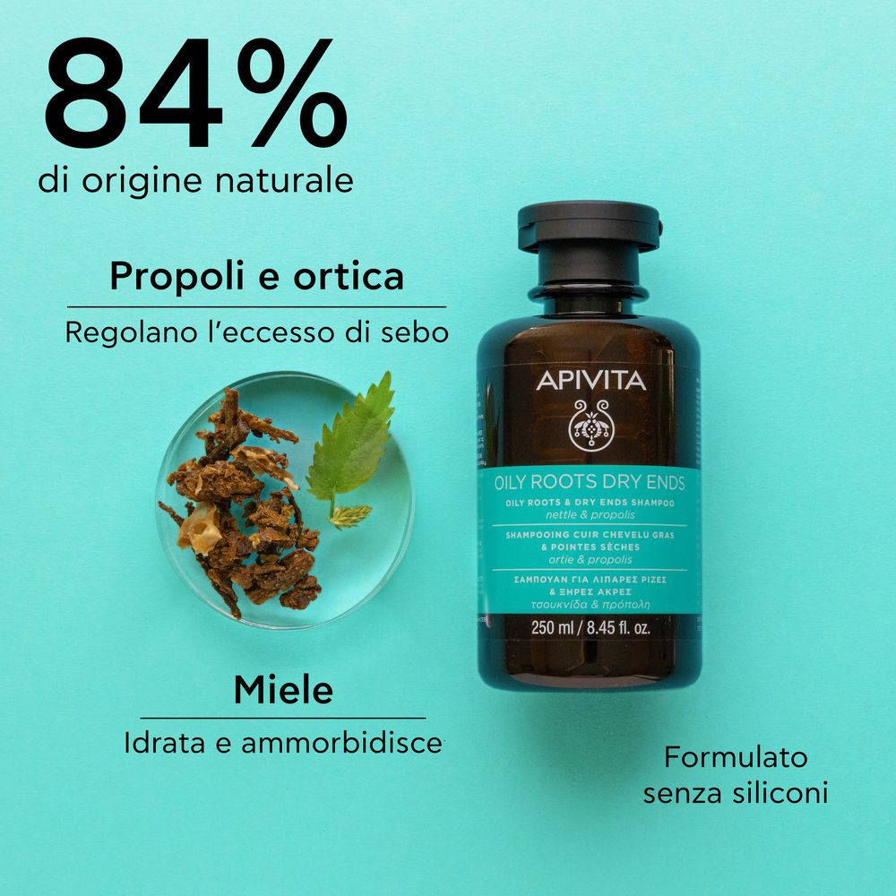 Apivita Shampoo Flasche mit 250 ml für fettige Ansätze und trockene Spitzen.