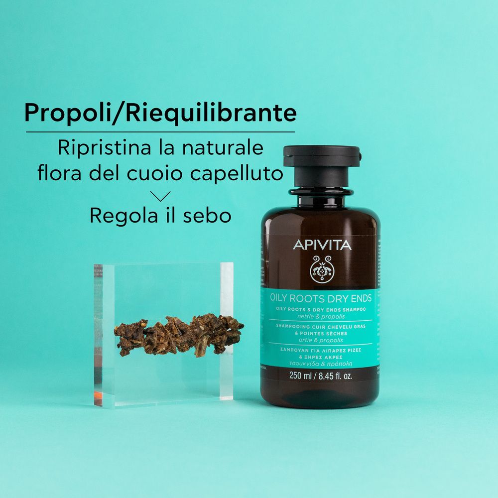 Apivita Shampoo Flasche für ölige Kopfhaut und trockene Spitzen, 250 ml.