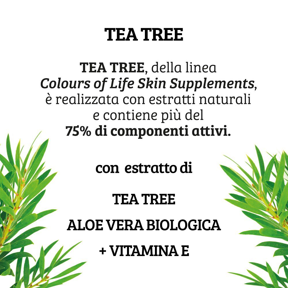 Colours of Life Kreme TEA TREE: Text über Inhaltsstoffe und Teebaumzweige.
