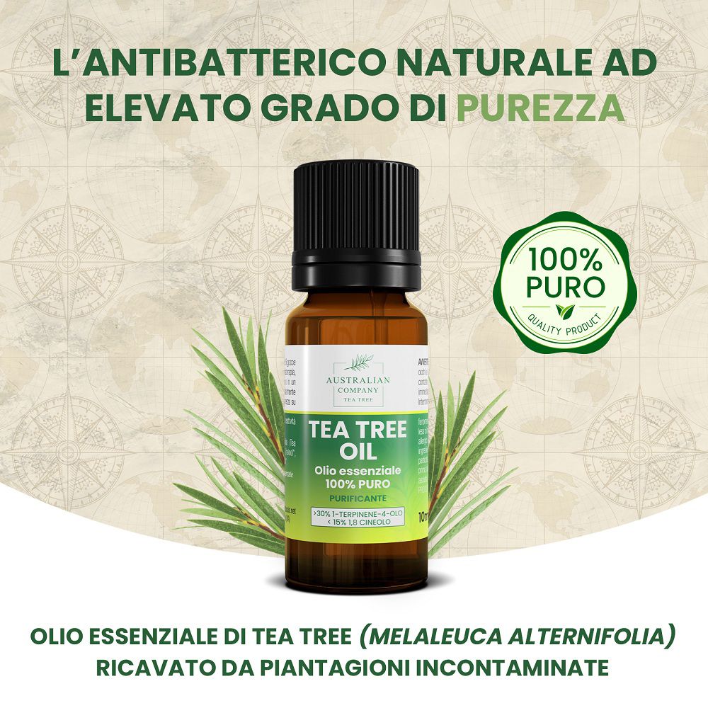 Fläschchen Teebaumöl, 10ml, mit Zweigen. 100% reines australisches Teebaumöl.